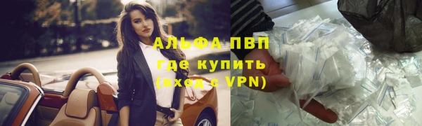 гидра Алексин
