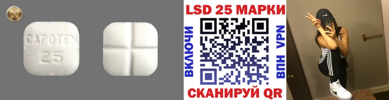 блэк спрут рабочий сайт  Касимов  LSD-25 экстази кислота 