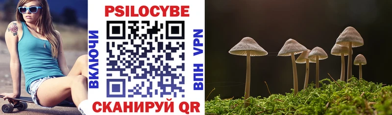 MEGA ТОР  Касимов  Галлюциногенные грибы Cubensis 